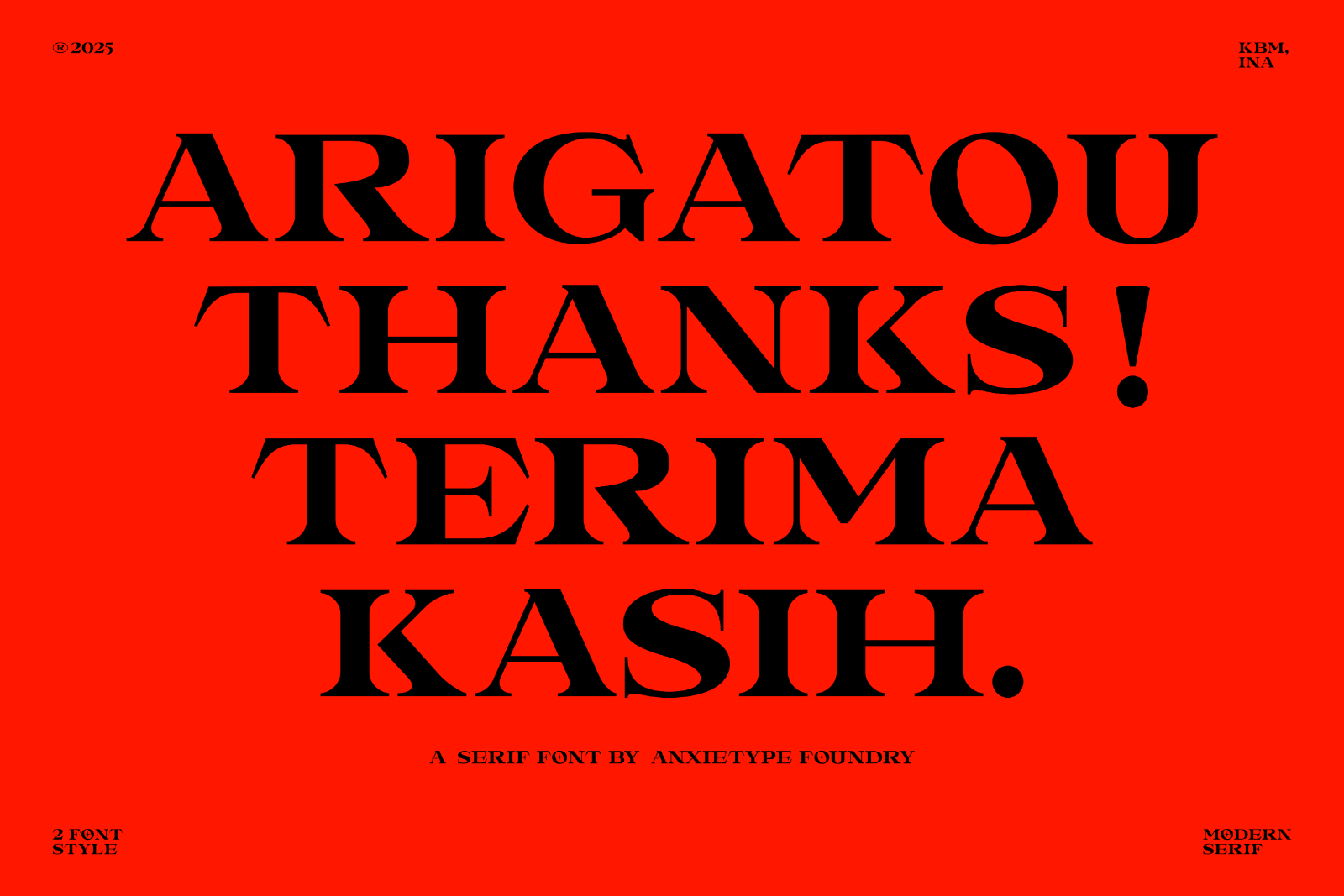 LANDMINE - DISPLAY SERIF — image 7