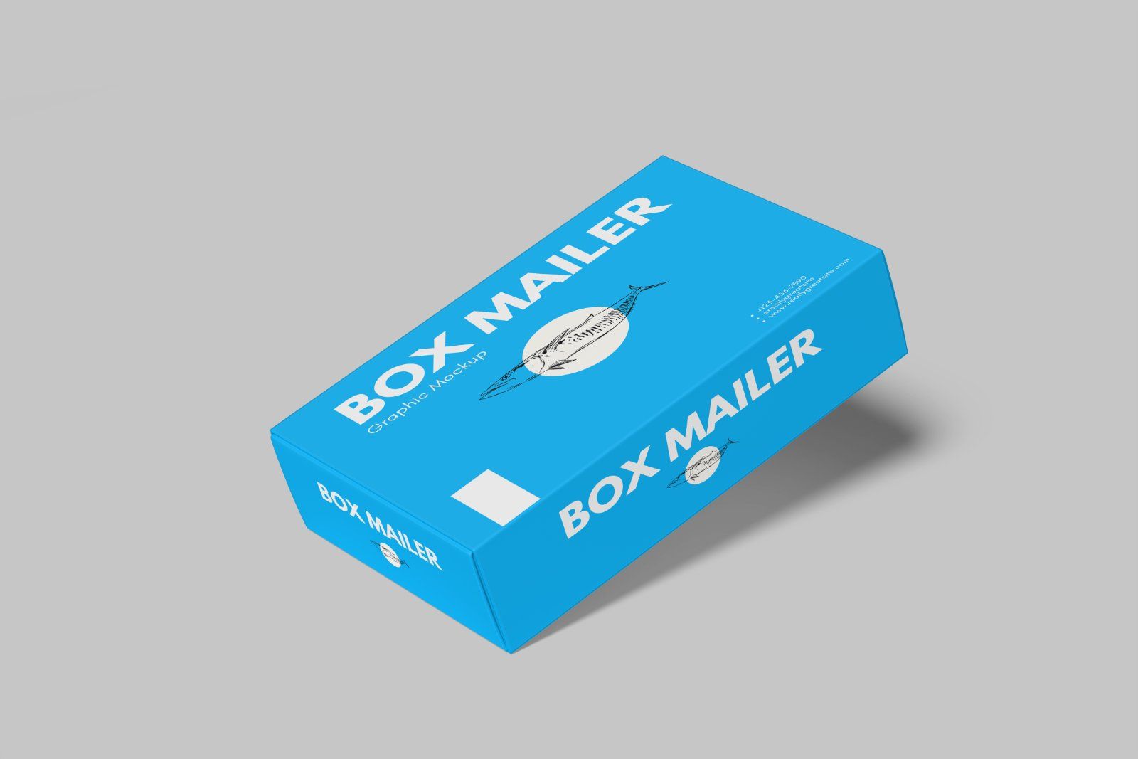 Mailer Box Mockup — image 8