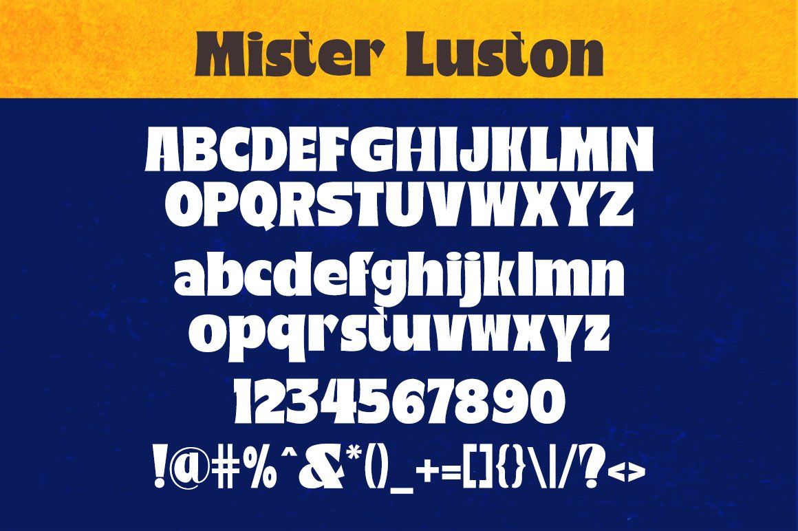 Mister Luston — image 8