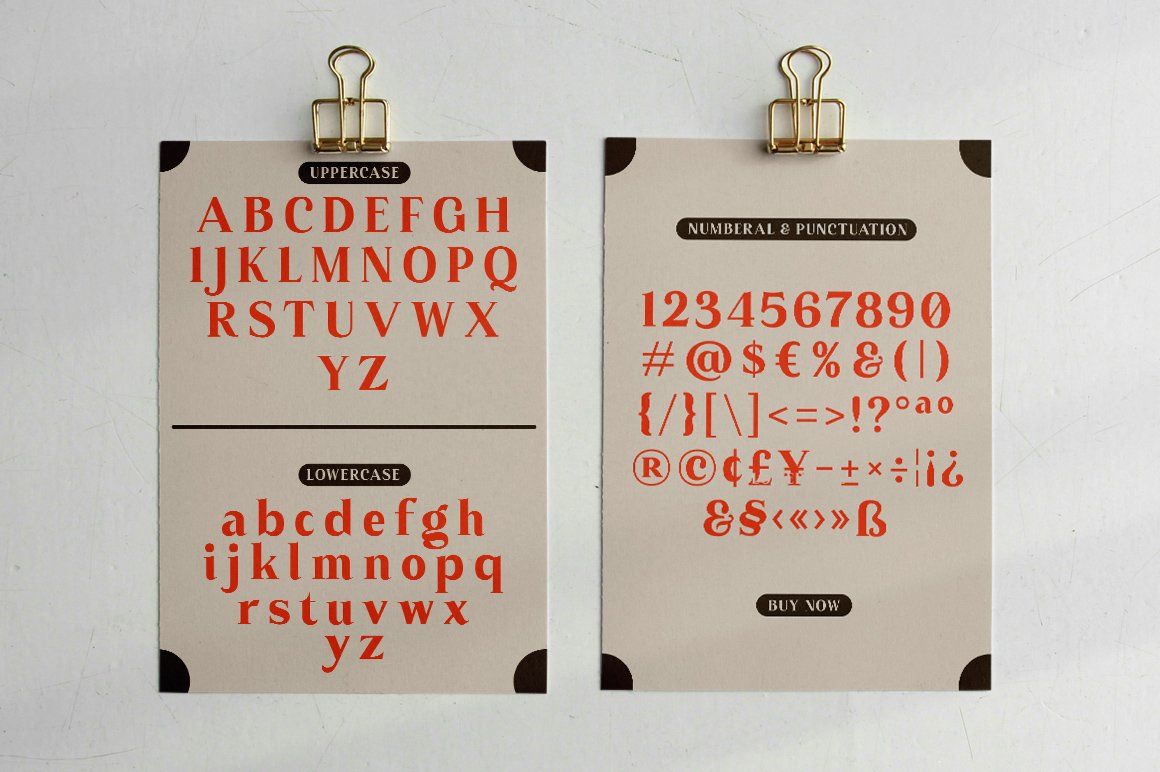 Korela Serif — image 8