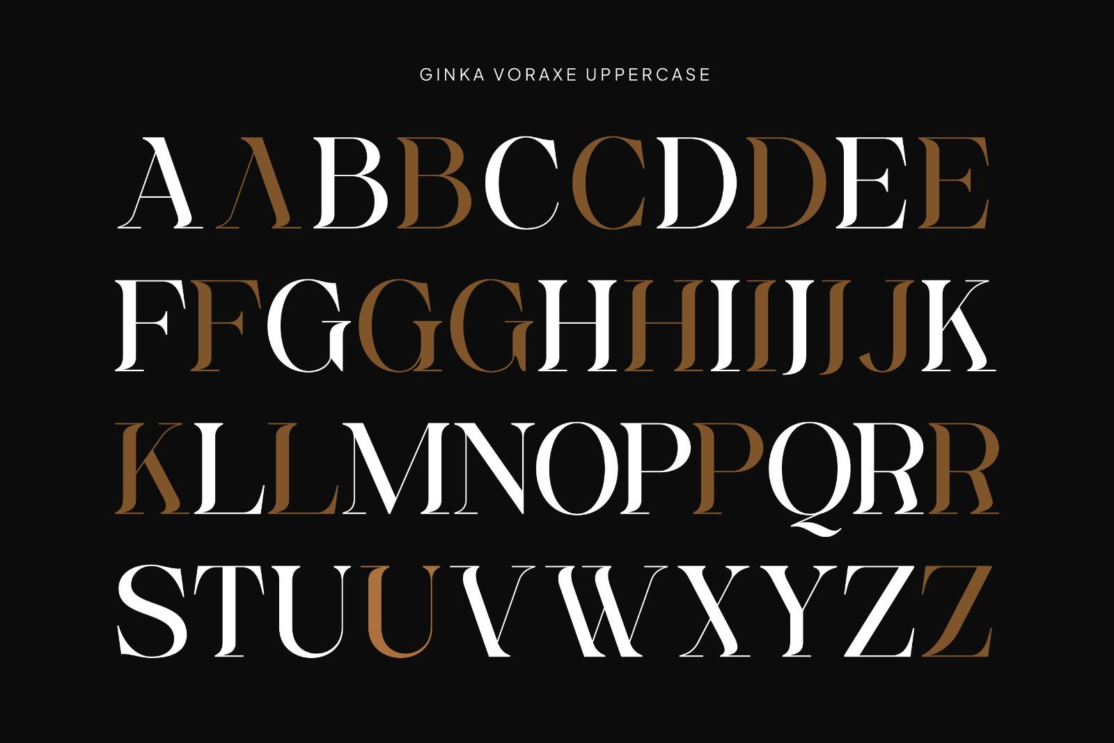 Ginka Voraxe – Modern Stylish Serif — image 8
