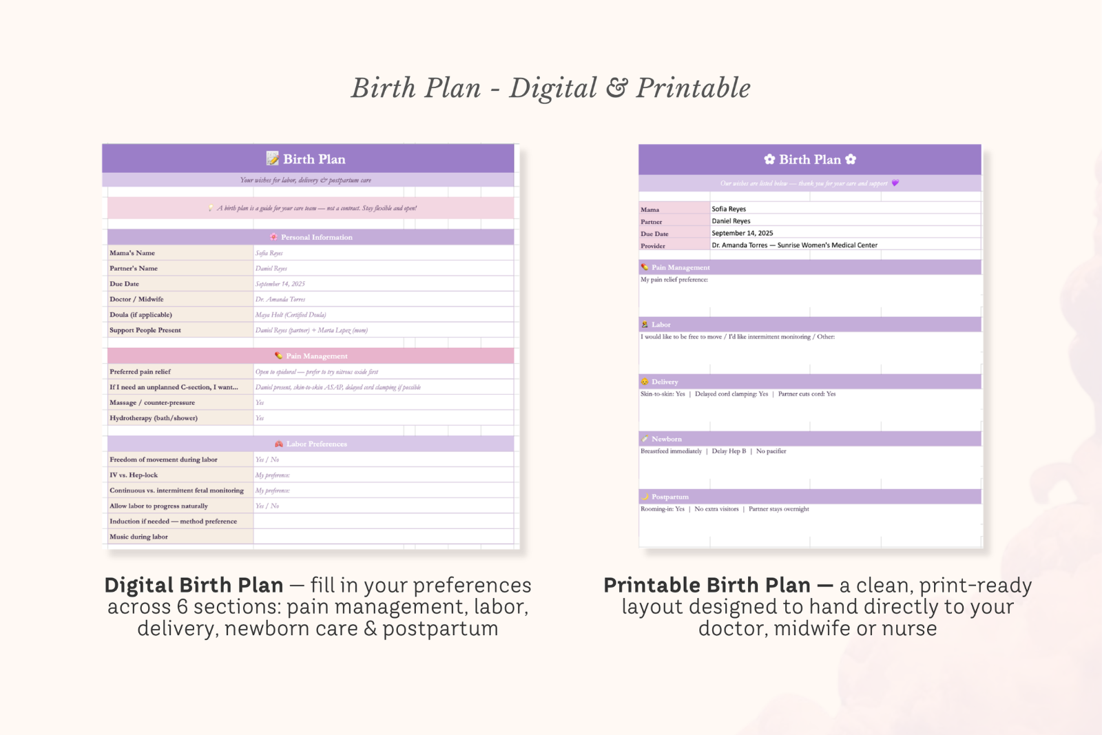 Pregnancy Planner Excel Spreadsheet — image 9