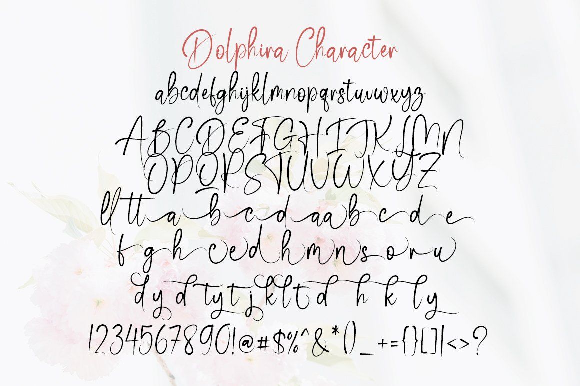 Dolphina — image 9
