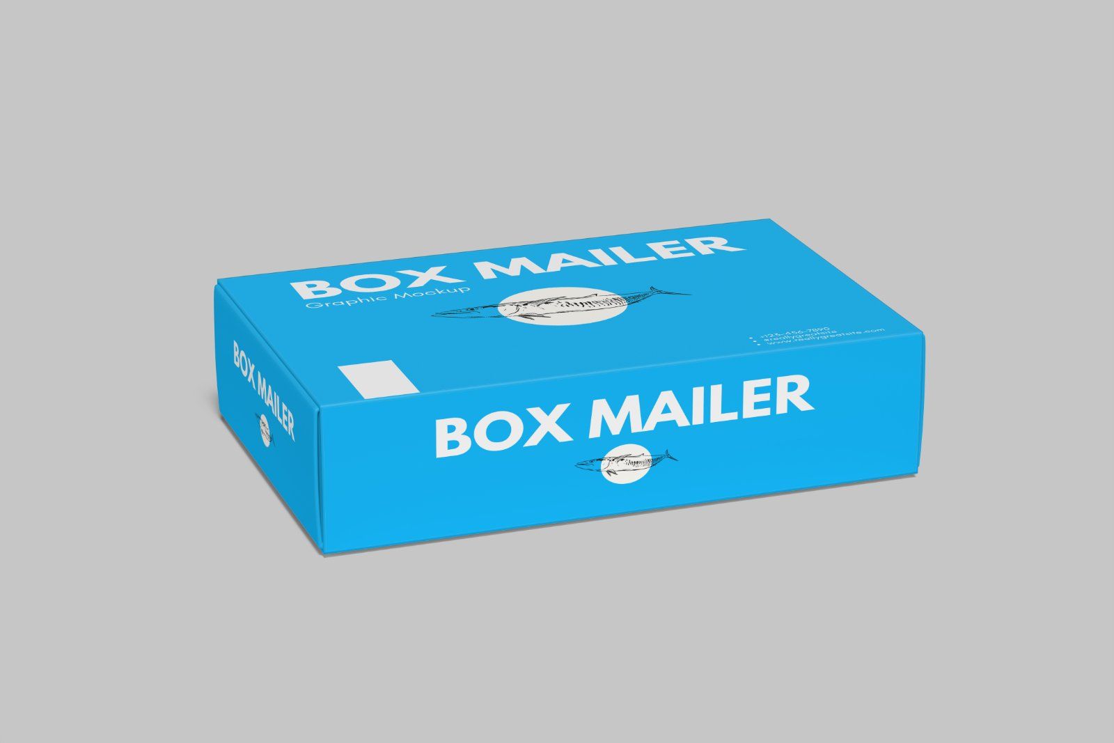 Mailer Box Mockup — image 9