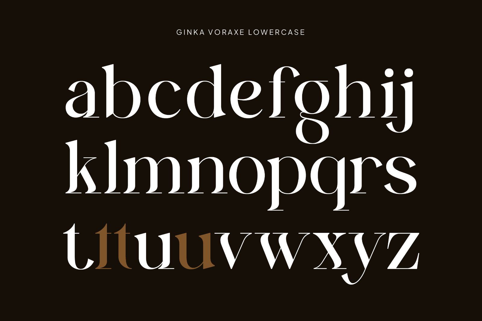 Ginka Voraxe – Modern Stylish Serif — image 9