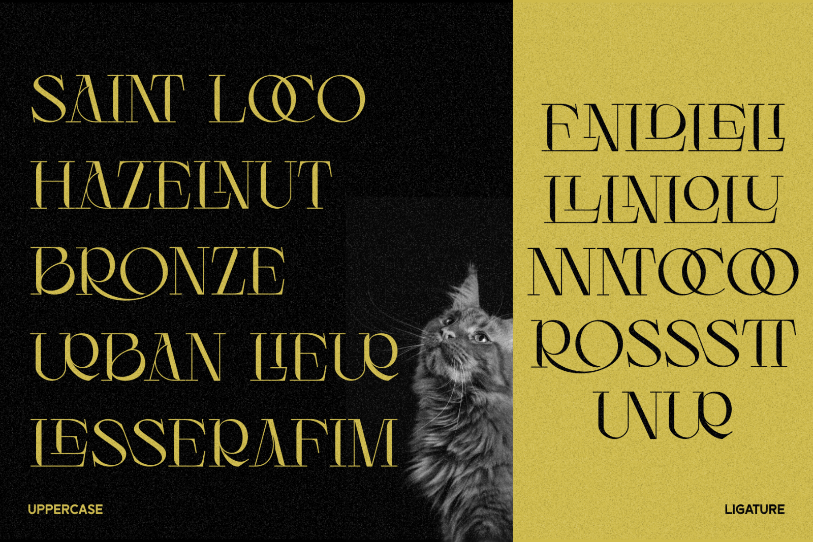 Luncat - Font — image 9