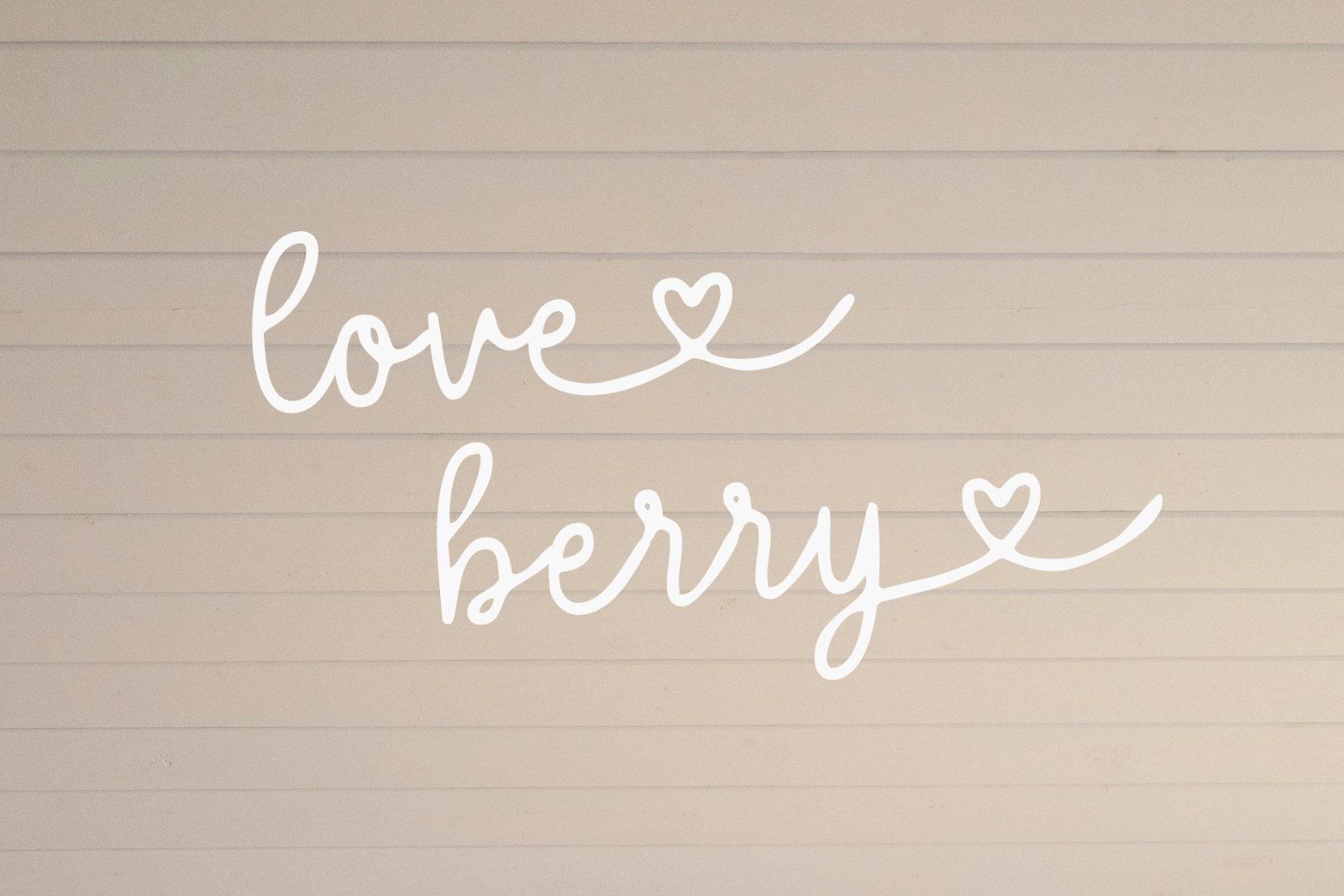 Palmer Cheerful | Script Font — image 10