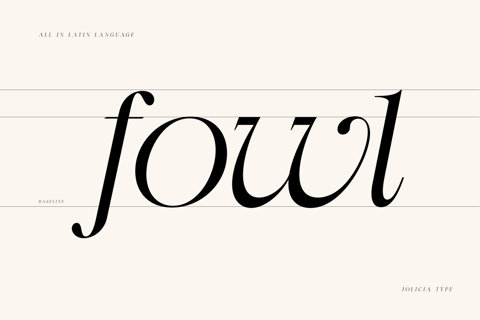 Swily Bright | Classy Font — image 10