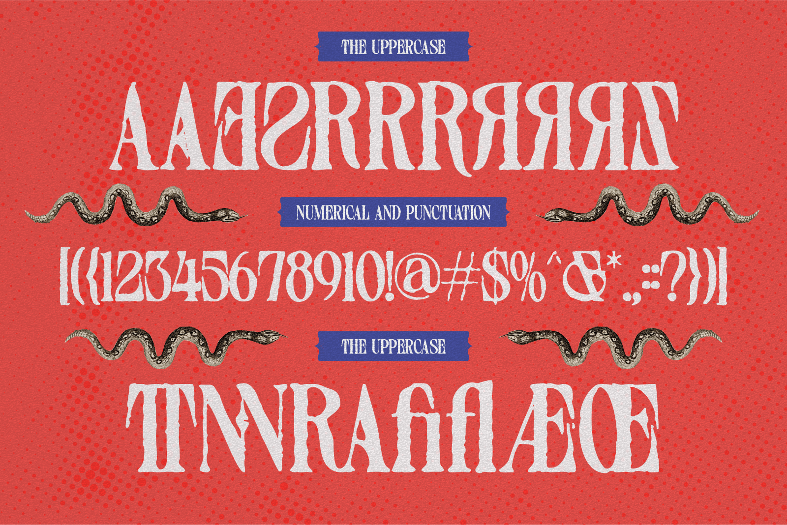 Distressed Seroze – Elegant Serif — image 9
