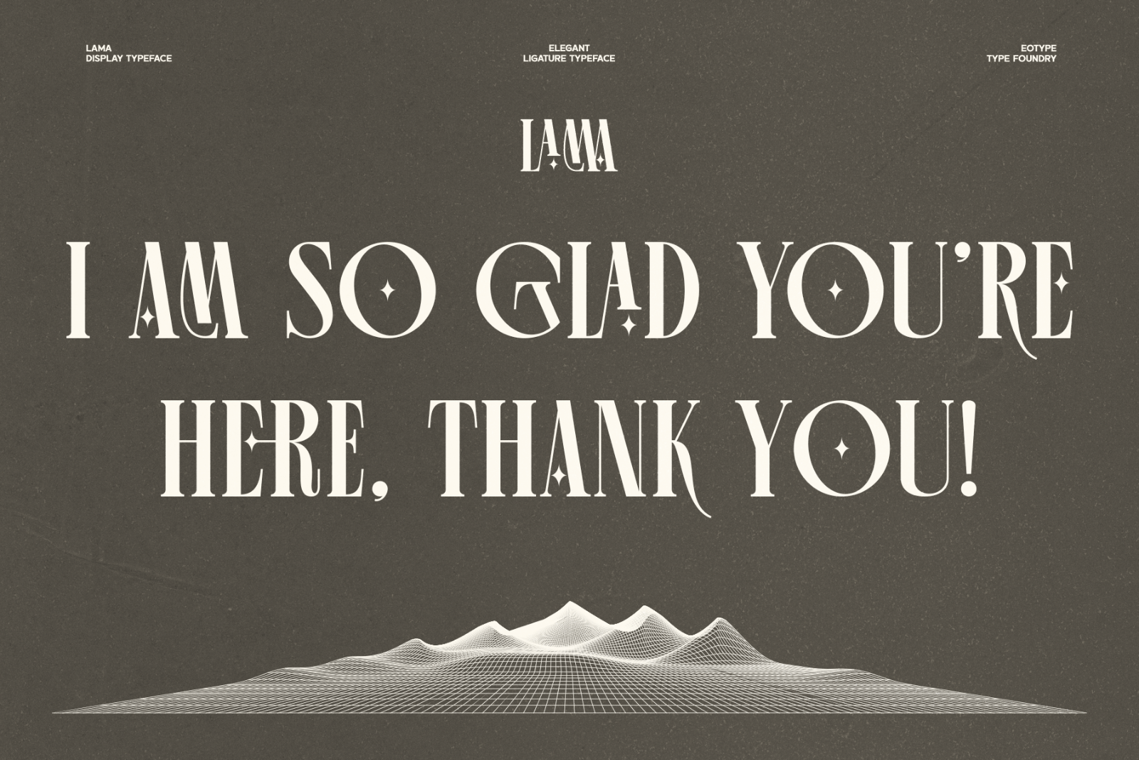 Lama Font — image 9
