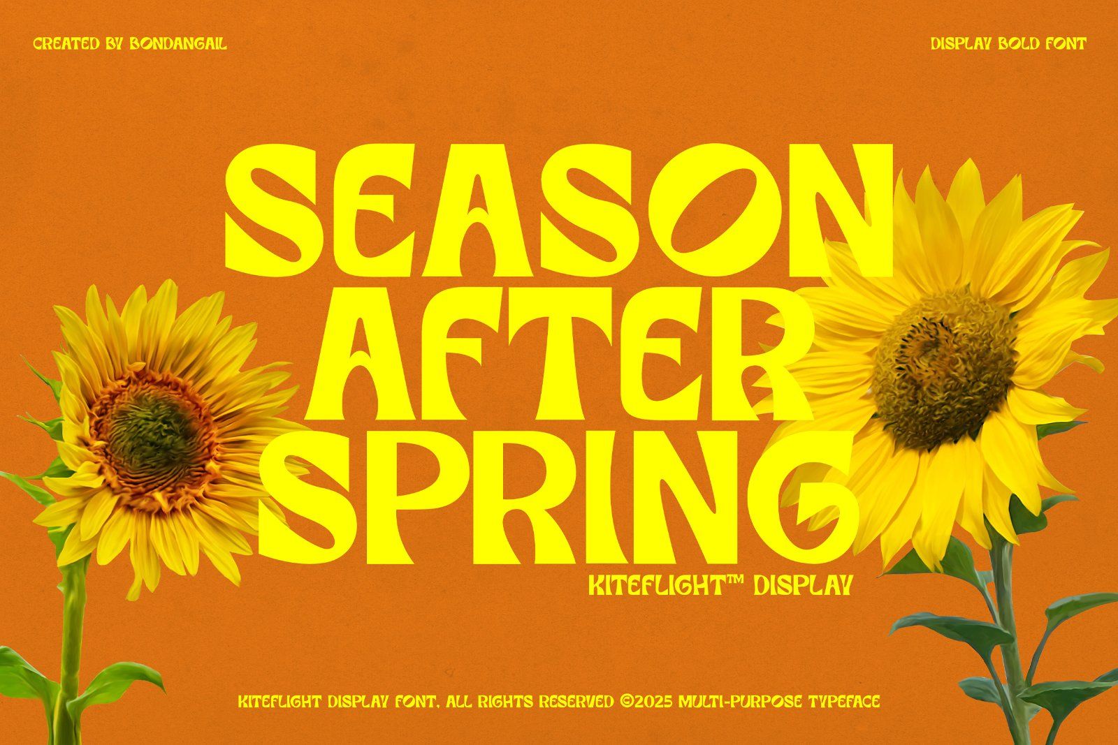 Kiteflight | Breezy Display Font — image 2