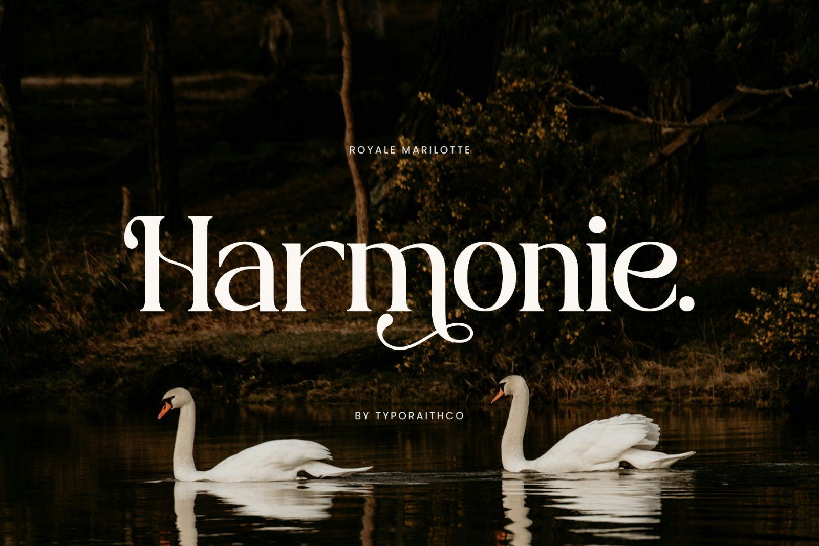 Royale Marilotte | Elegant Serif — image 2