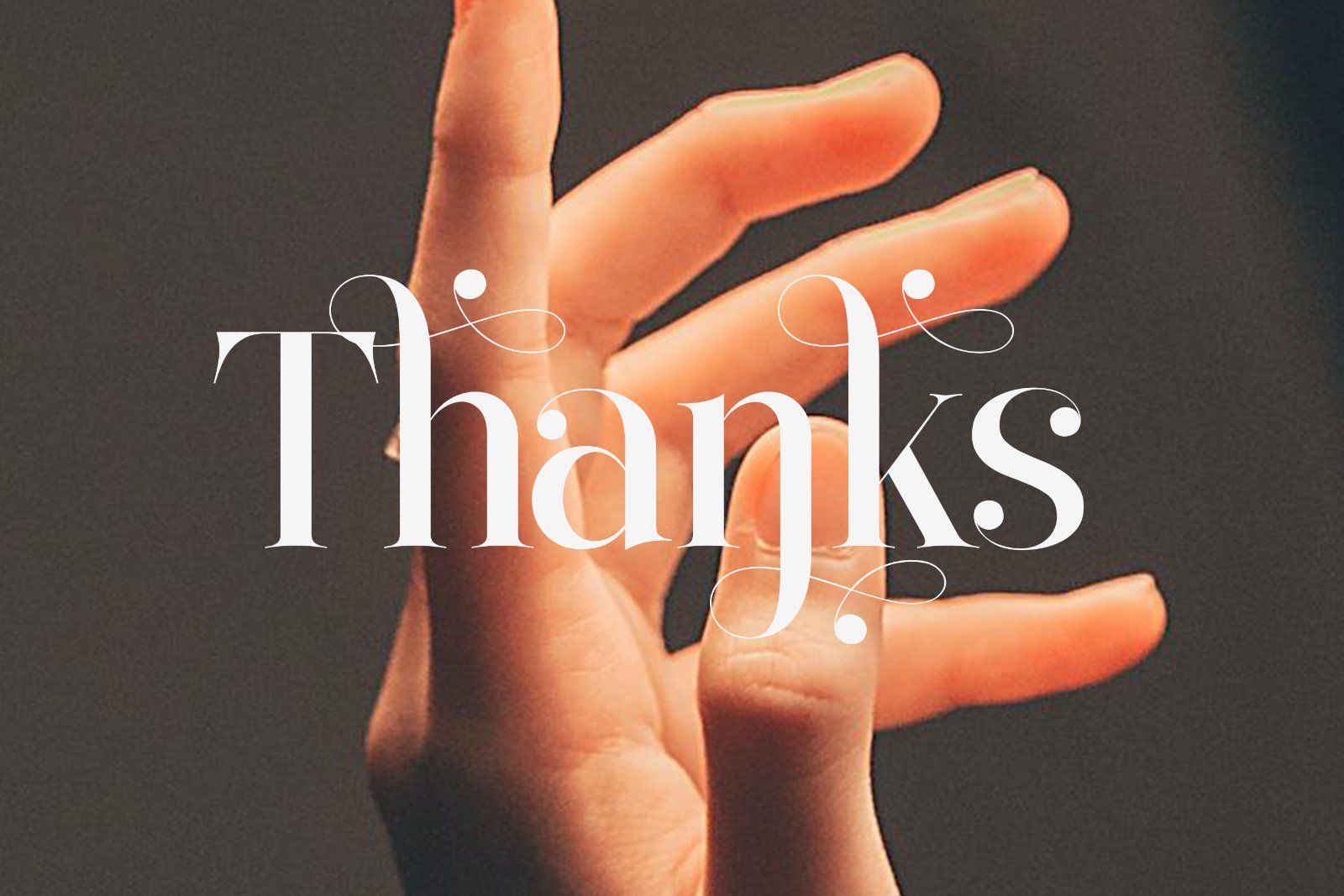Bilgist | Modern Serif Display Font — image 10