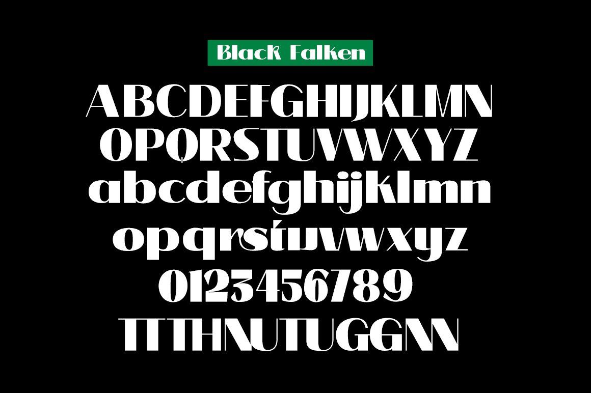 Black Falken — image 9