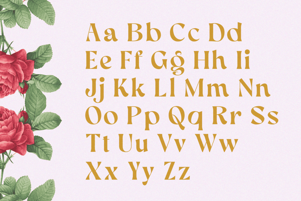 AEKIY KAGON — Elegant Luxury Bold Serif Font — image 14