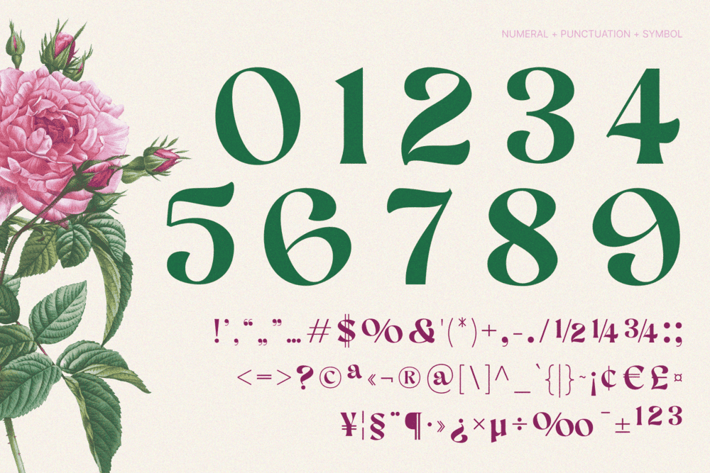 AEKIY KAGON — Elegant Luxury Bold Serif Font — image 15