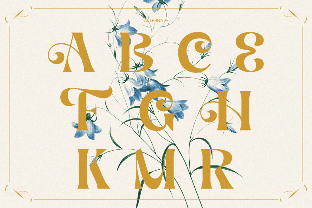 AEKIY KAGON — Elegant Luxury Bold Serif Font — image 18