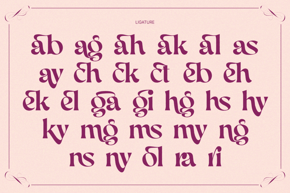 AEKIY KAGON — Elegant Luxury Bold Serif Font — image 20