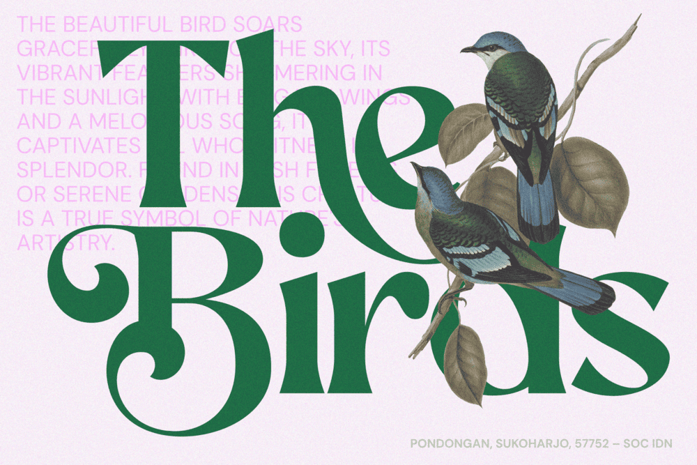 AEKIY KAGON — Elegant Luxury Bold Serif Font — image 4