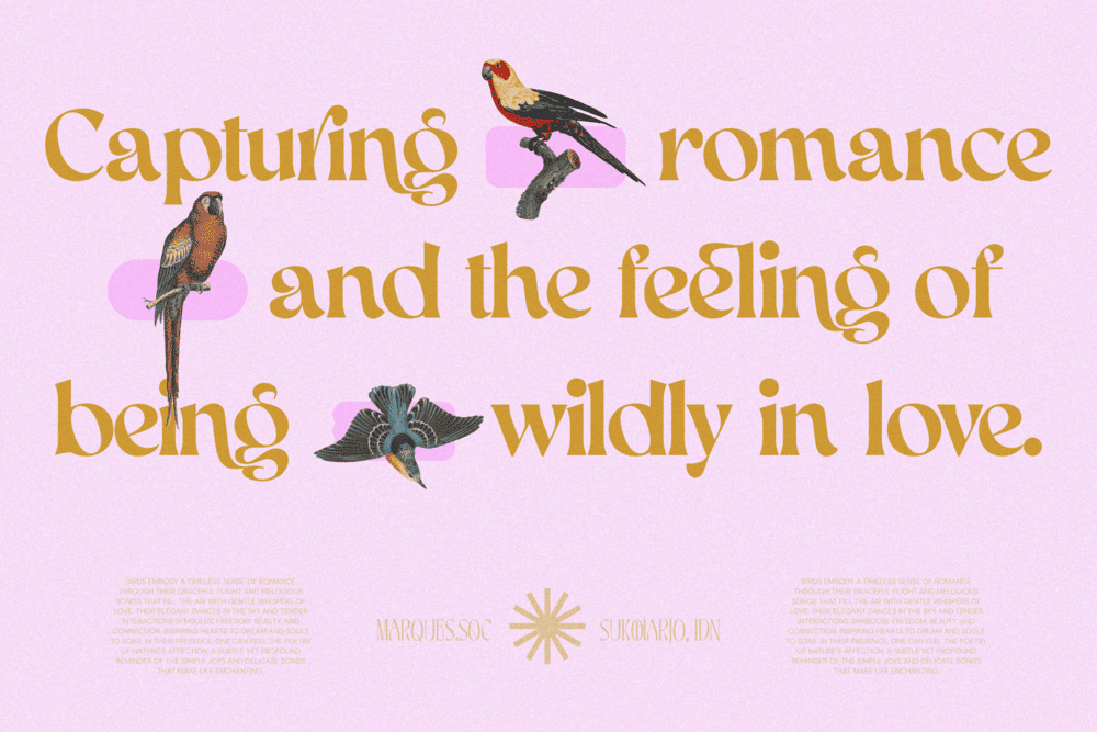 AEKIY KAGON — Elegant Luxury Bold Serif Font — image 8