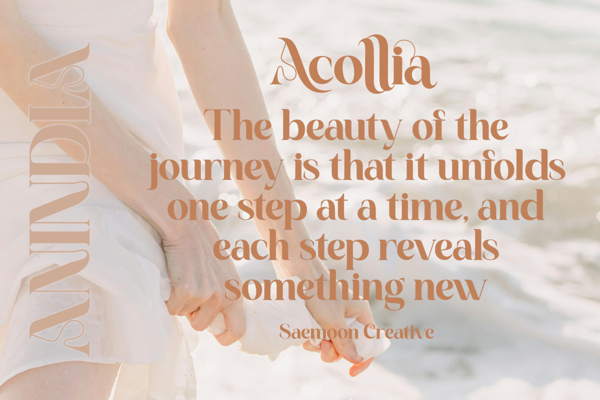 Acollia — image 13