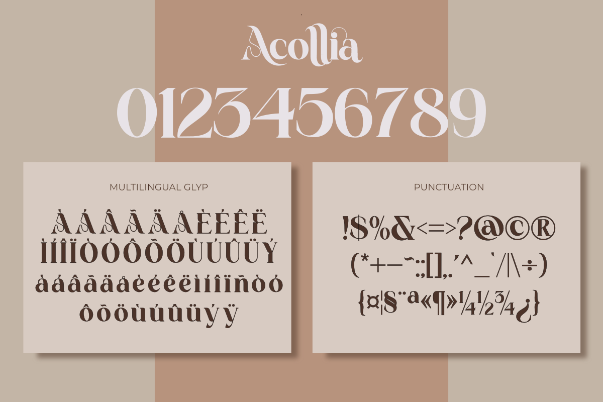 Acollia — image 6