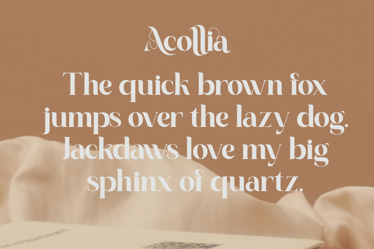 Acollia — image 9