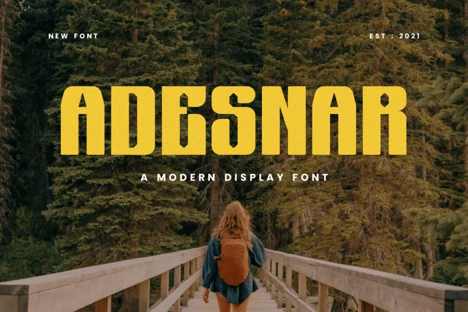 Adesnar display font free download — image 2