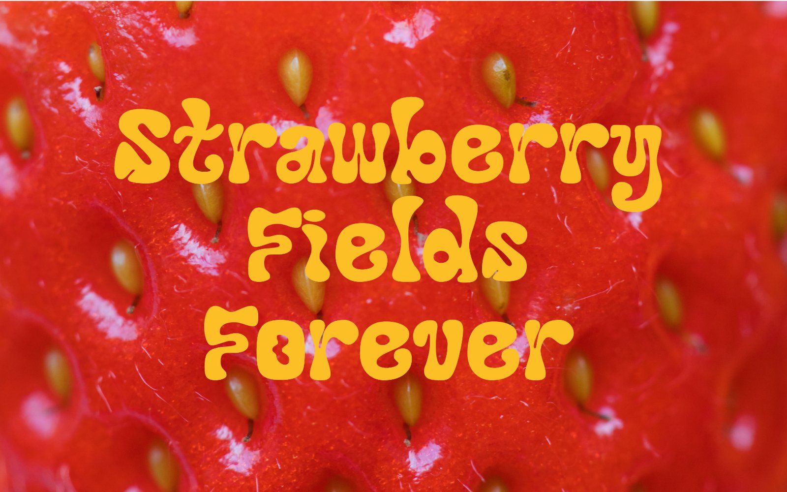 Sweet Psychedelia - Psychedelic Font — image 2