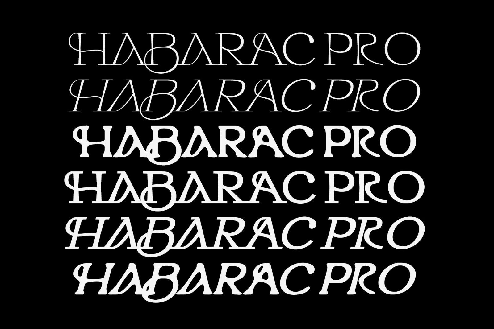 Habarac | Modern Elegant Serif Font — image 2