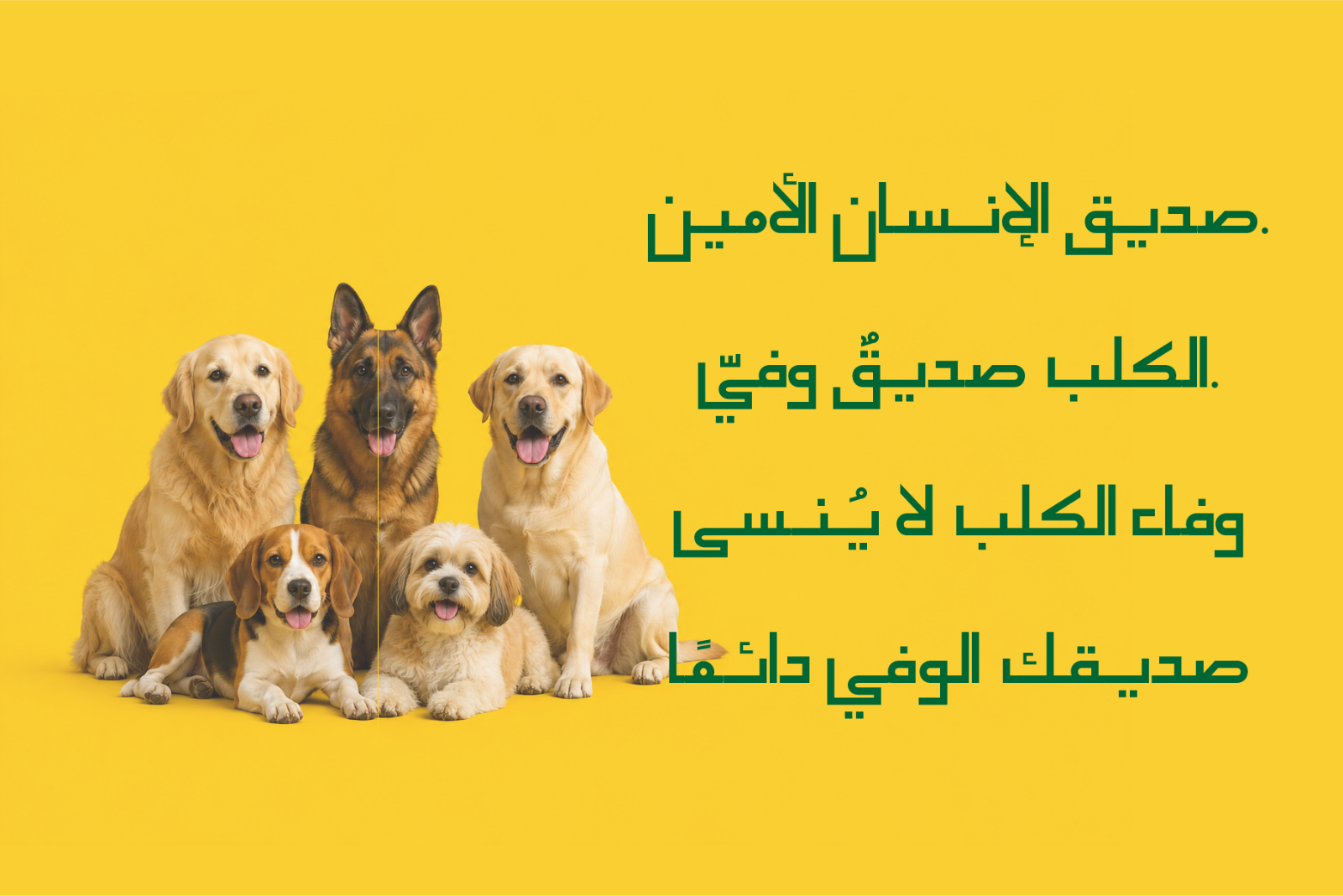 Dahlil — image 3