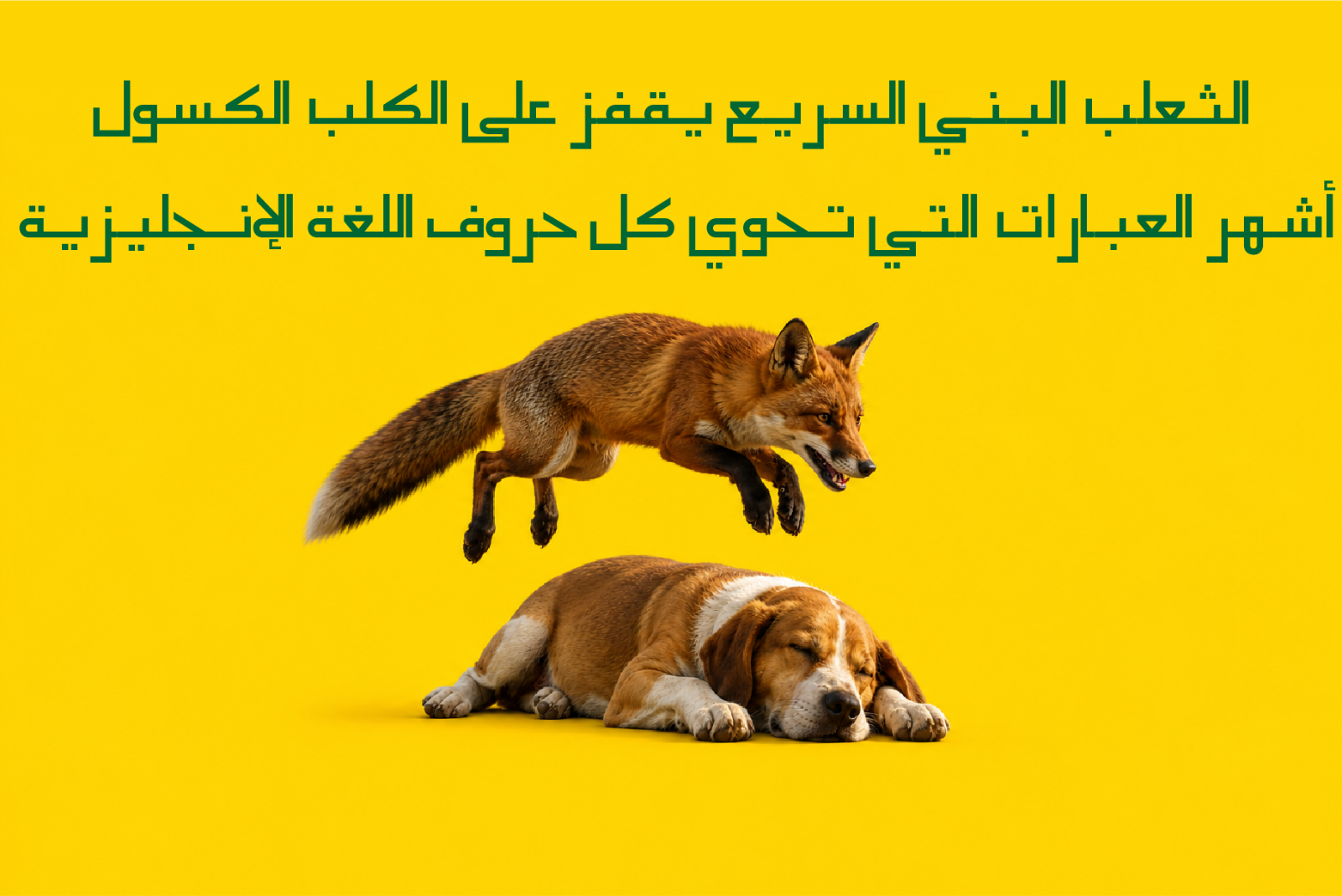 Dahlil — image 4
