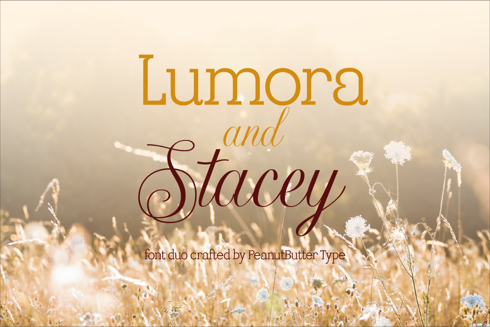 Lumora and Stacey — image 1