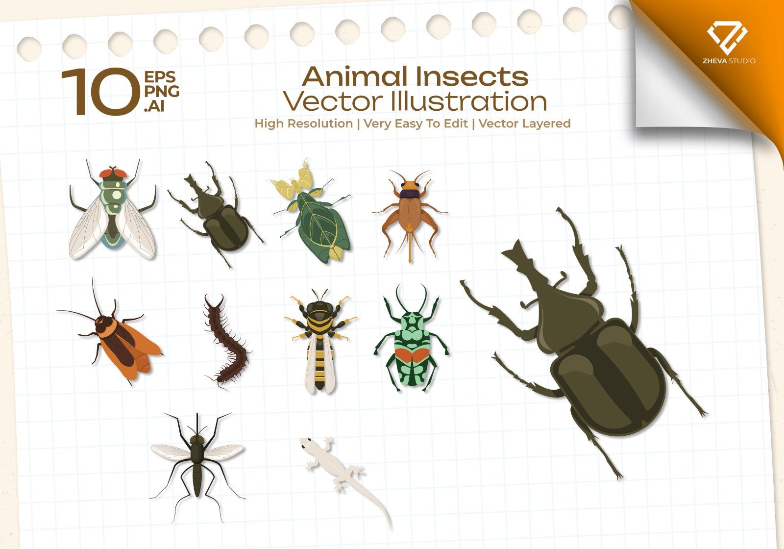 Premium Animal Insects Vector Illustration – 10 EPS & PNG Files — image 1