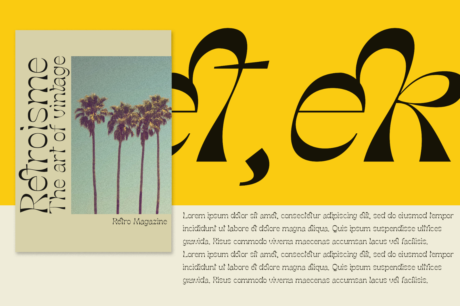 Molex Shoora | Reverse Contrast Font — image 10