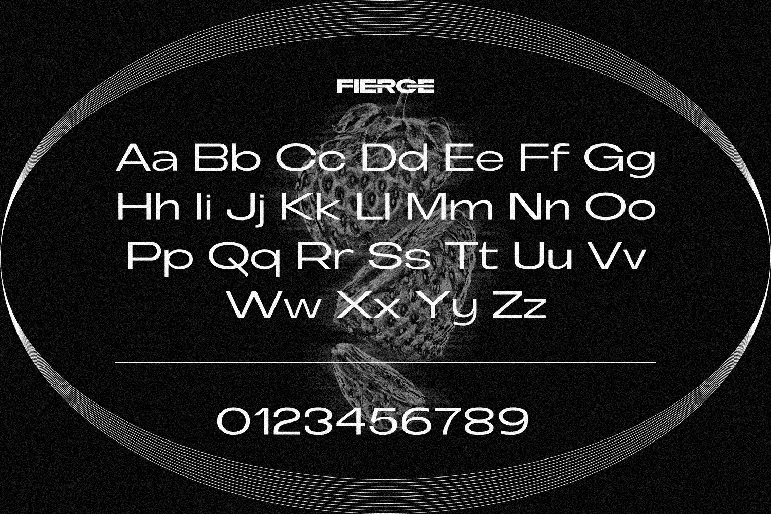 Fierce Family Font — image 11