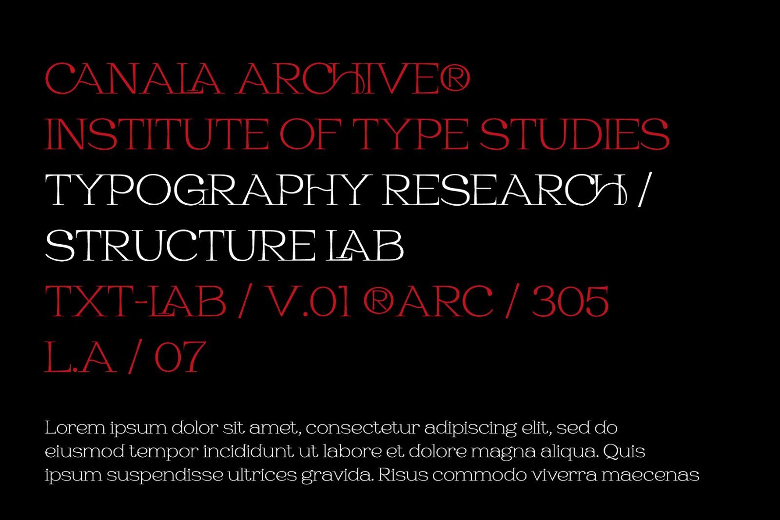 Habarac | Modern Elegant Serif Font — image 10