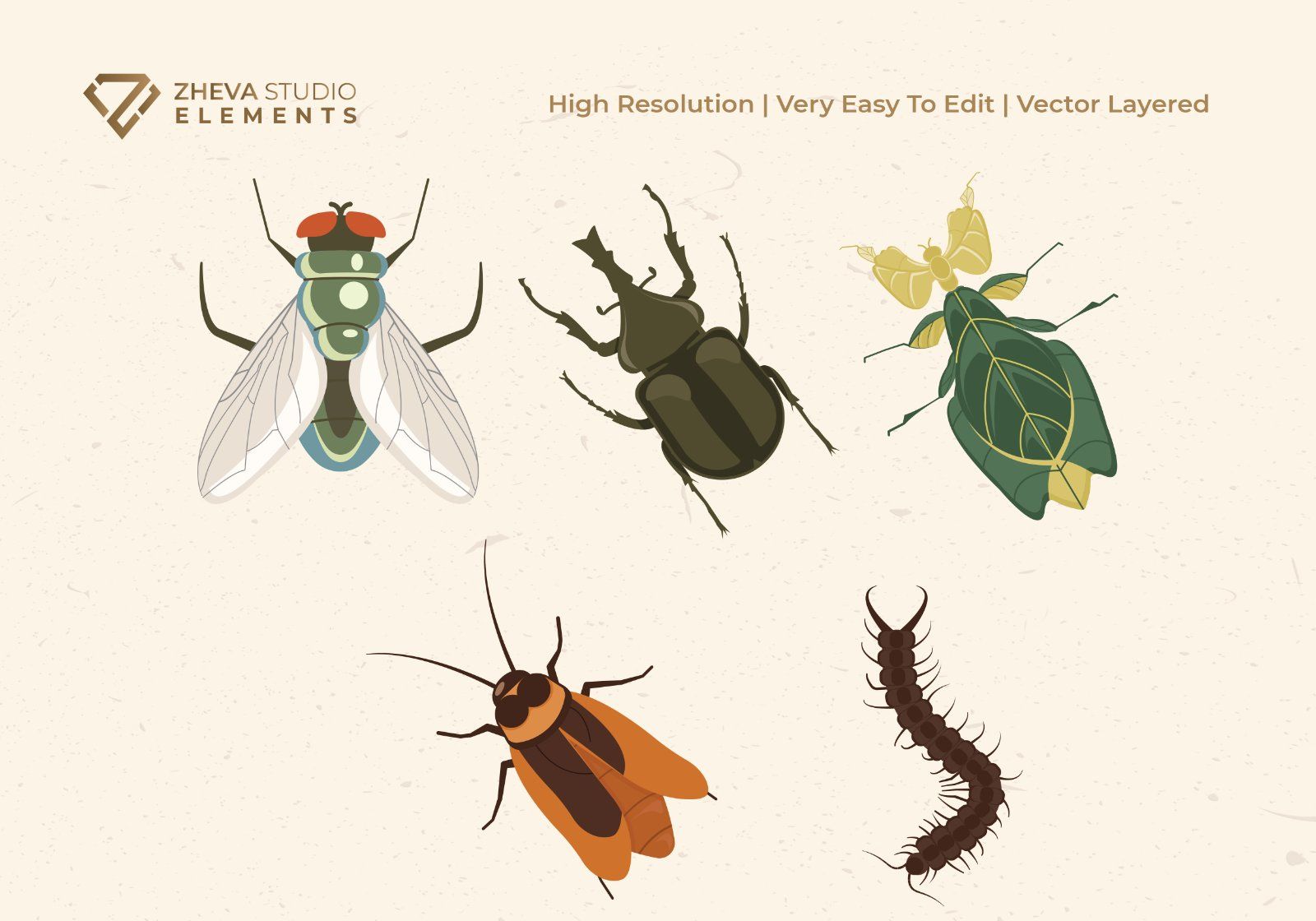 Premium Animal Insects Vector Illustration – 10 EPS & PNG Files — image 3