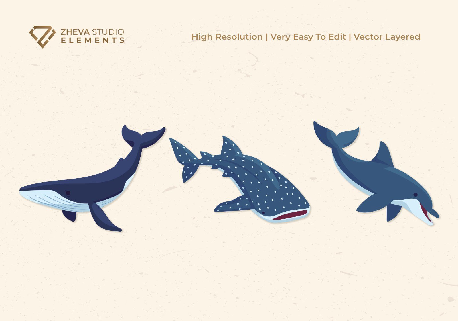 Premium Ocean Mammals and Sea Creatures Vector Illustration – 6 EPS & PNG Files — image 4