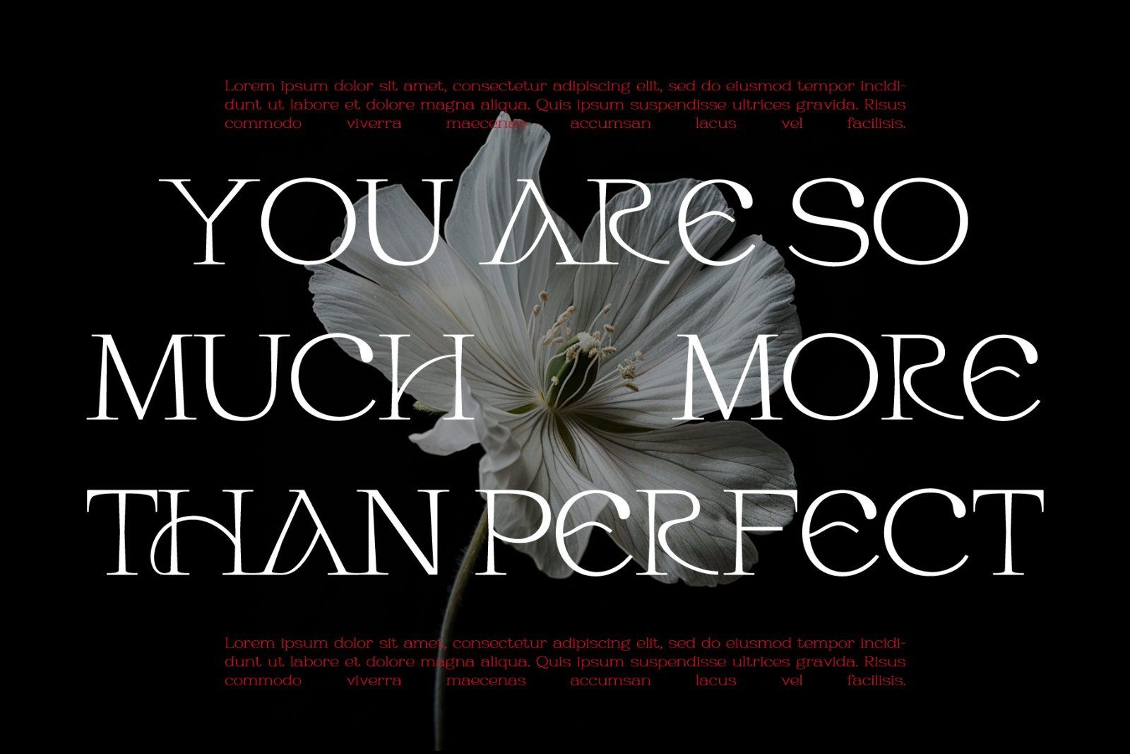 Habarac | Modern Elegant Serif Font — image 11