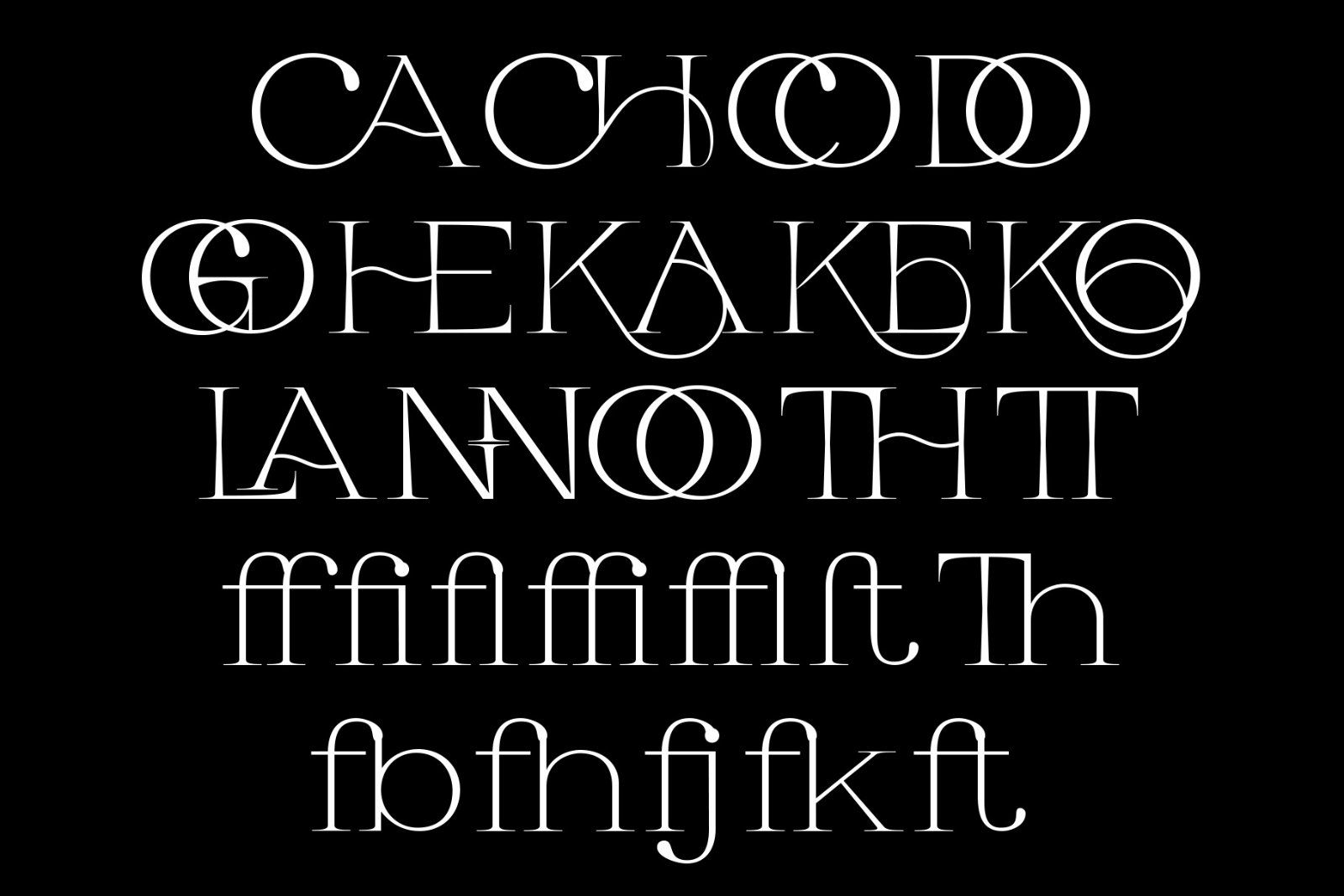 Habarac | Modern Elegant Serif Font — image 14