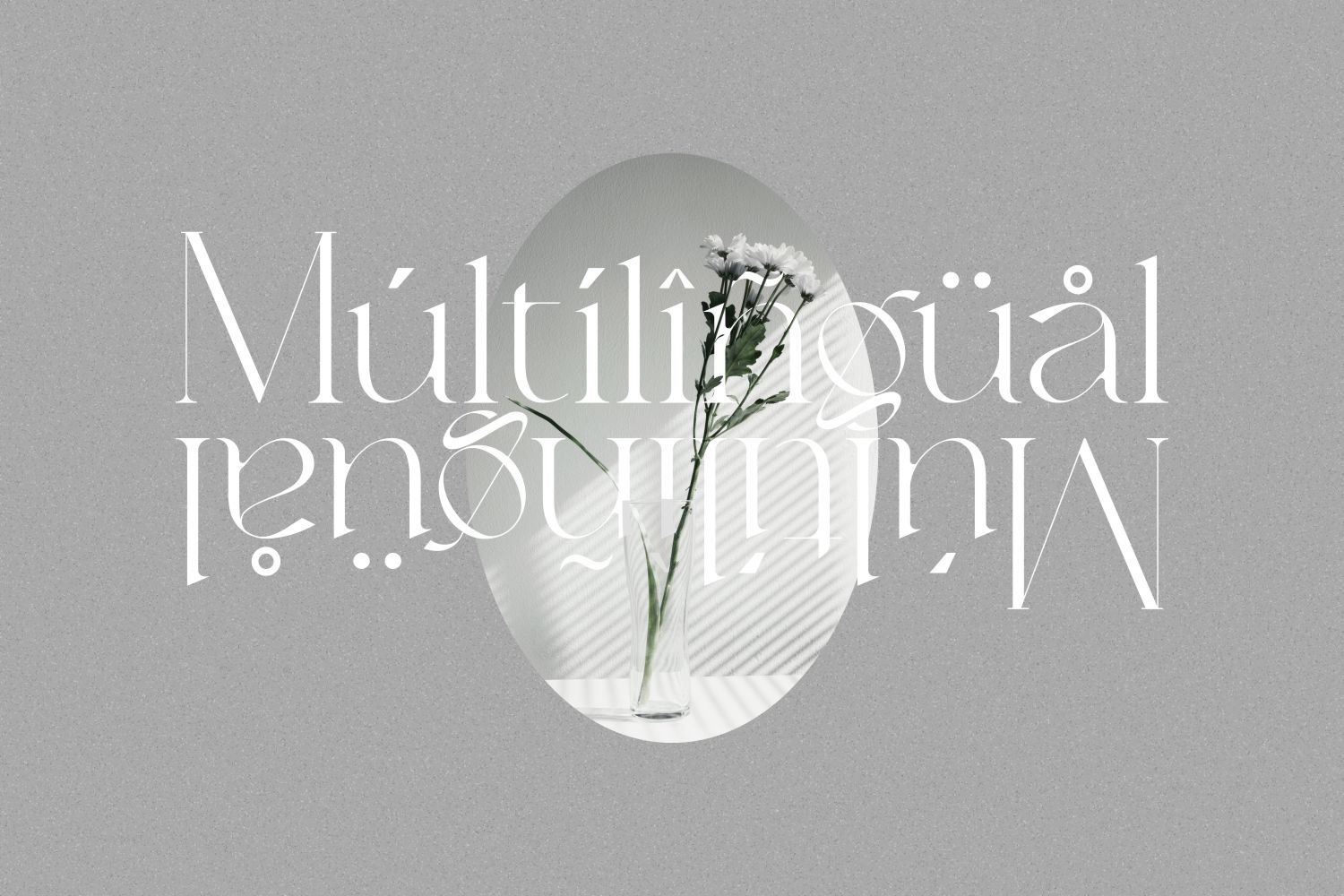 Balinest _ chic modern font — image 8