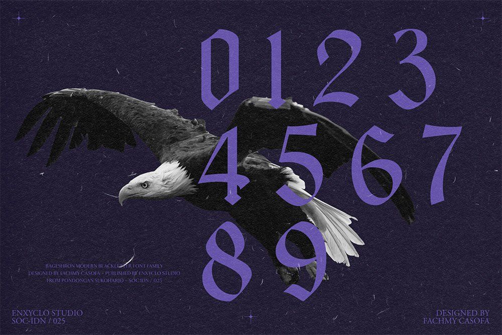 Bageshron Blackletter Font Family — image 22