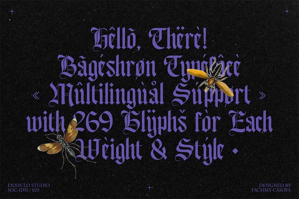 Bageshron Blackletter Font Family — image 25