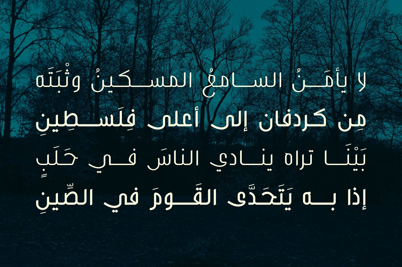 Bareeq - Arabic Font — image 5
