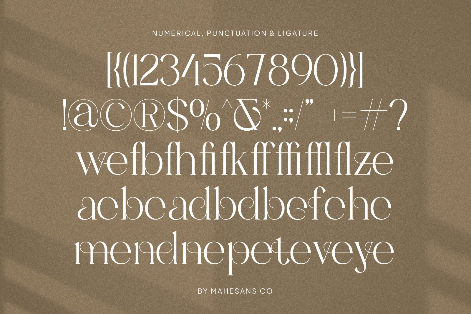 Belove – Modern Elegant Serif — image 10