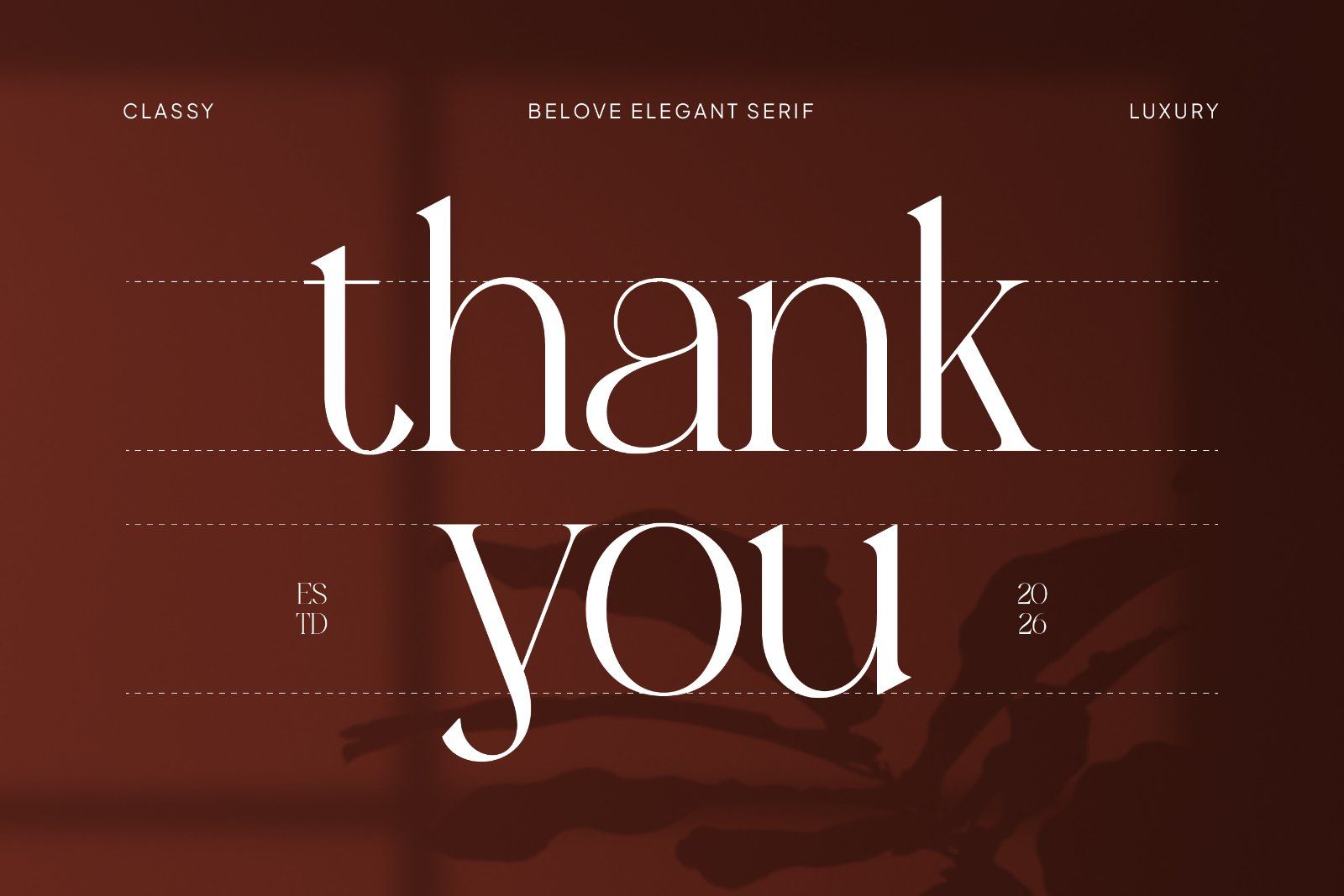 Belove – Modern Elegant Serif — image 11