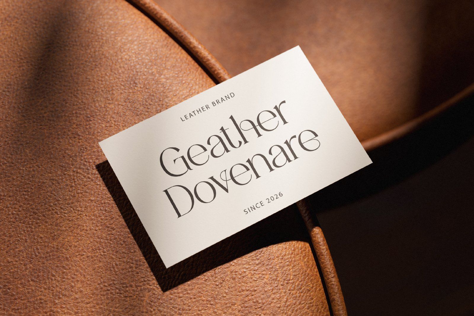 Belove – Modern Elegant Serif — image 7