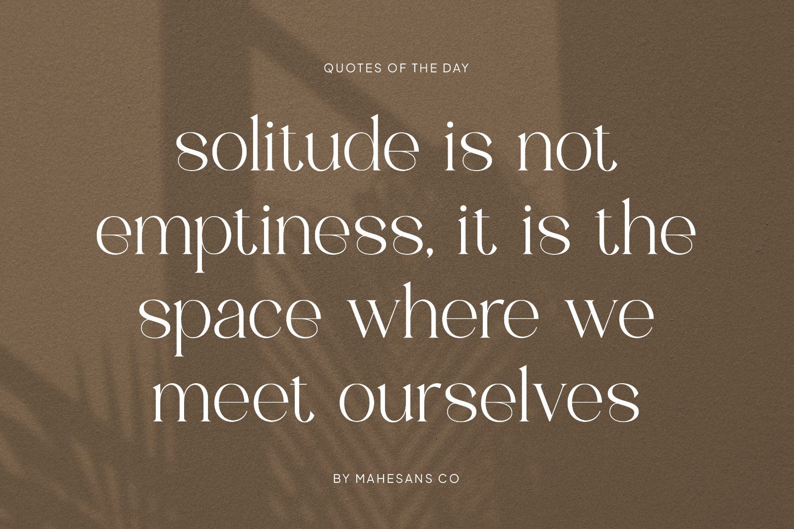 Belove – Modern Elegant Serif — image 8
