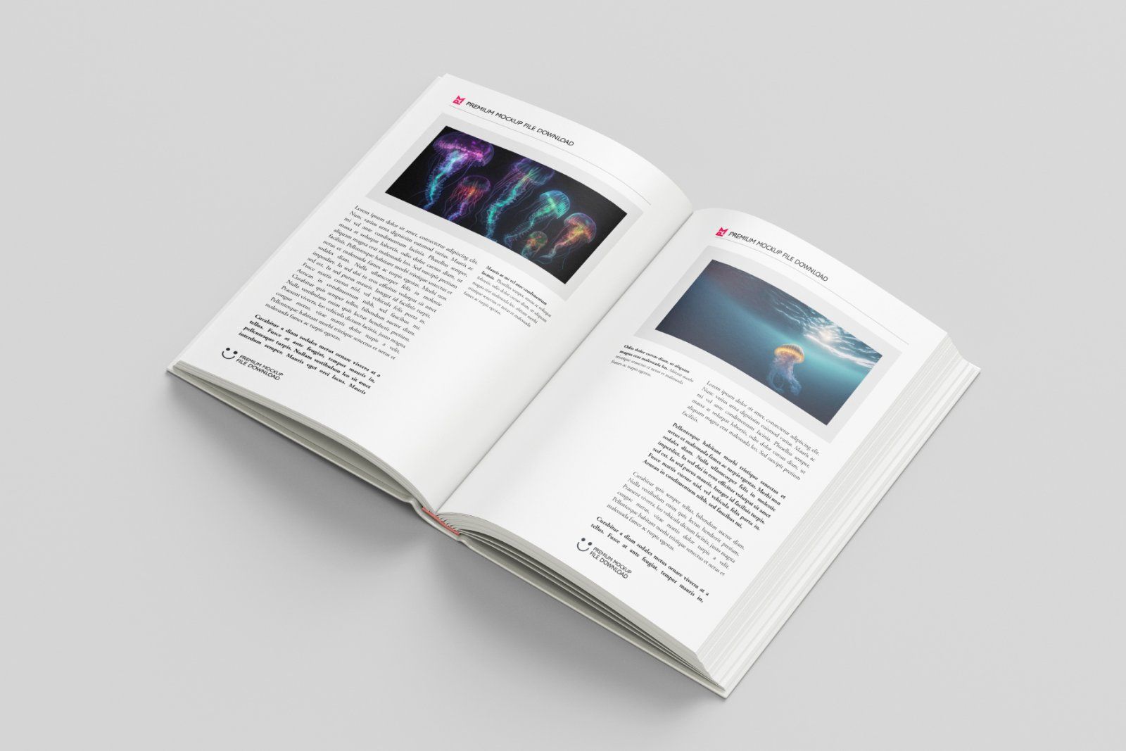 Hardcover book mockup — image 3